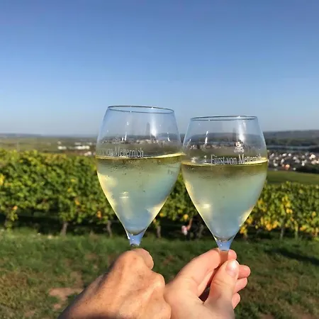 Lägenhet 2 Uni Nahe Mainz